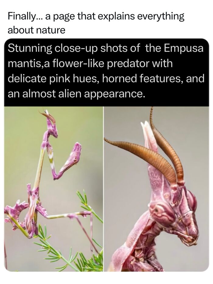 68 Fascinating Photos And Facts That Show Just How Incredible Nature Can Be (New Pics) 68 Fascinating Photos And Facts That Show Just How Incredible Nature Can Be (New Pics)