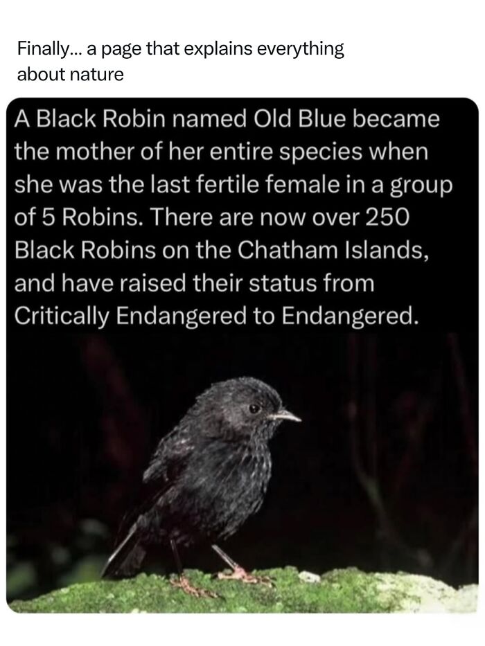 68 Fascinating Photos And Facts That Show Just How Incredible Nature Can Be (New Pics) 68 Fascinating Photos And Facts That Show Just How Incredible Nature Can Be (New Pics)
