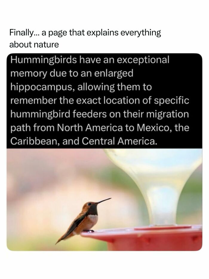 68 Fascinating Photos And Facts That Show Just How Incredible Nature Can Be (New Pics) 68 Fascinating Photos And Facts That Show Just How Incredible Nature Can Be (New Pics)