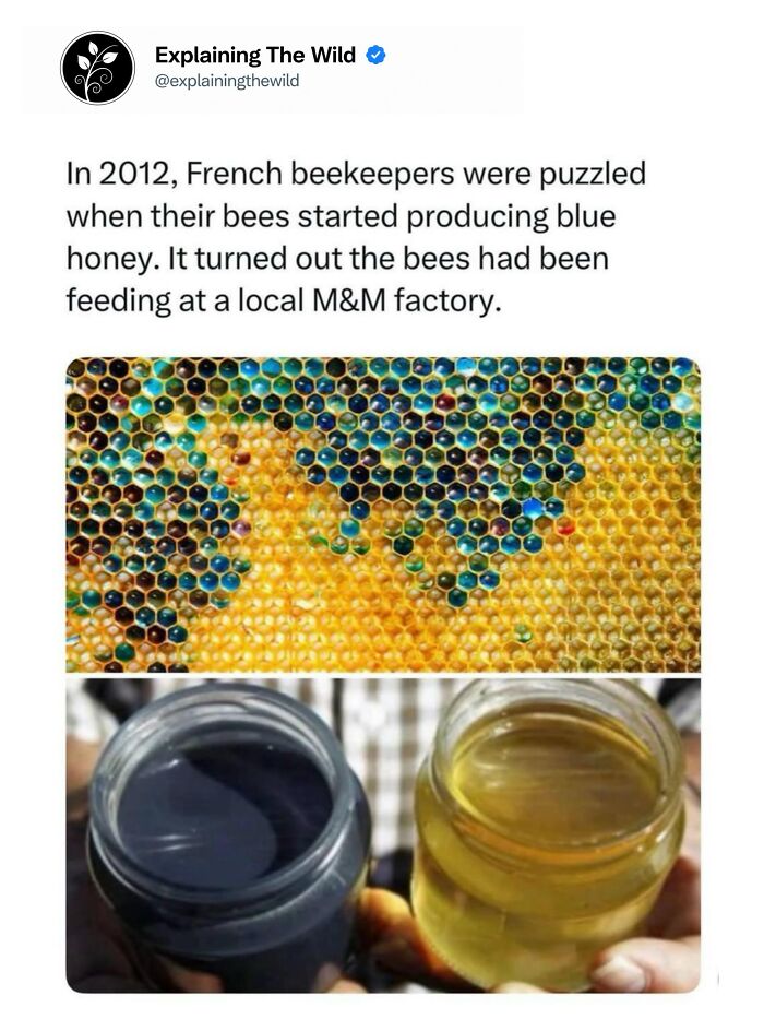 68 Fascinating Photos And Facts That Show Just How Incredible Nature Can Be (New Pics) 68 Fascinating Photos And Facts That Show Just How Incredible Nature Can Be (New Pics)
