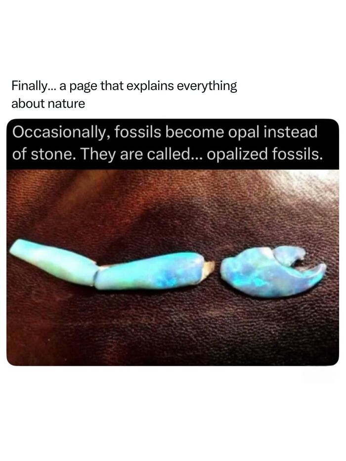 68 Fascinating Photos And Facts That Show Just How Incredible Nature Can Be (New Pics) 68 Fascinating Photos And Facts That Show Just How Incredible Nature Can Be (New Pics)