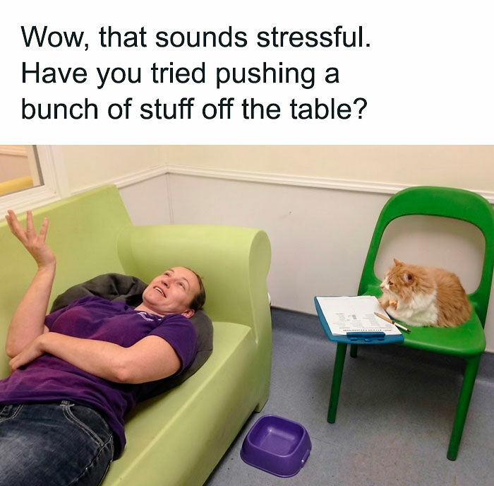 “I Can Relate To The Core”: 78 Animal Memes That Prove The Internet Was Made For This Exact Purpose “I Can Relate To The Core”: 78 Animal Memes That Prove The Internet Was Made For This Exact Purpose