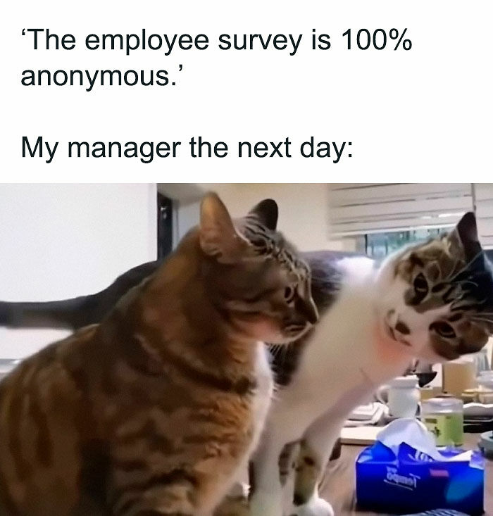 “I Can Relate To The Core”: 78 Animal Memes That Prove The Internet Was Made For This Exact Purpose “I Can Relate To The Core”: 78 Animal Memes That Prove The Internet Was Made For This Exact Purpose