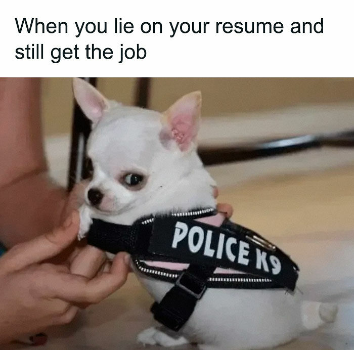 “I Can Relate To The Core”: 78 Animal Memes That Prove The Internet Was Made For This Exact Purpose “I Can Relate To The Core”: 78 Animal Memes That Prove The Internet Was Made For This Exact Purpose
