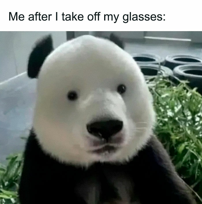 “I Can Relate To The Core”: 78 Animal Memes That Prove The Internet Was Made For This Exact Purpose “I Can Relate To The Core”: 78 Animal Memes That Prove The Internet Was Made For This Exact Purpose