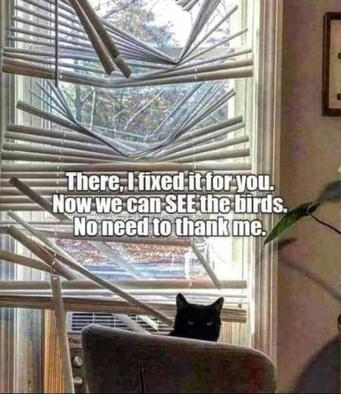 “I Can Relate To The Core”: 78 Animal Memes That Prove The Internet Was Made For This Exact Purpose “I Can Relate To The Core”: 78 Animal Memes That Prove The Internet Was Made For This Exact Purpose