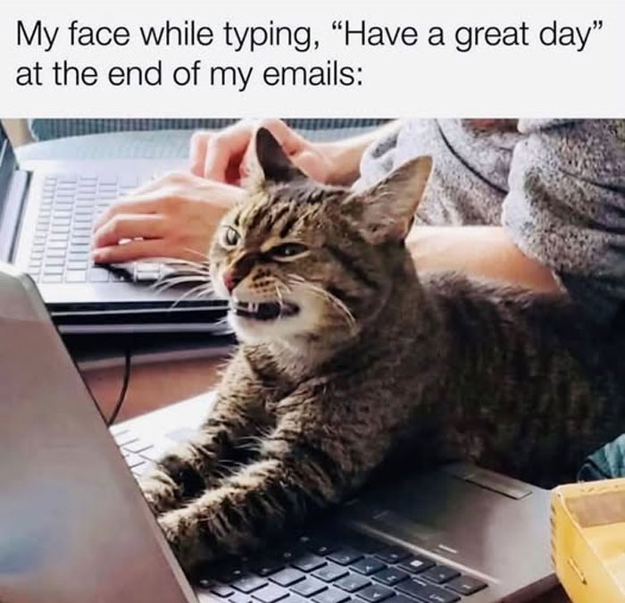 “I Can Relate To The Core”: 78 Animal Memes That Prove The Internet Was Made For This Exact Purpose “I Can Relate To The Core”: 78 Animal Memes That Prove The Internet Was Made For This Exact Purpose