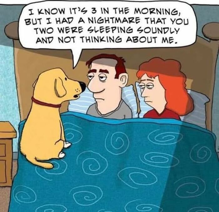 “I Can Relate To The Core”: 78 Animal Memes That Prove The Internet Was Made For This Exact Purpose “I Can Relate To The Core”: 78 Animal Memes That Prove The Internet Was Made For This Exact Purpose
