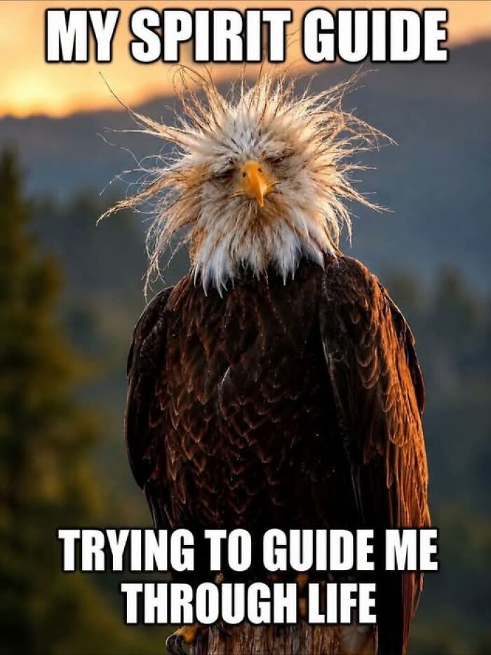 “I Can Relate To The Core”: 78 Animal Memes That Prove The Internet Was Made For This Exact Purpose “I Can Relate To The Core”: 78 Animal Memes That Prove The Internet Was Made For This Exact Purpose