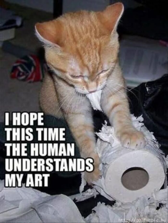 “I Can Relate To The Core”: 78 Animal Memes That Prove The Internet Was Made For This Exact Purpose “I Can Relate To The Core”: 78 Animal Memes That Prove The Internet Was Made For This Exact Purpose