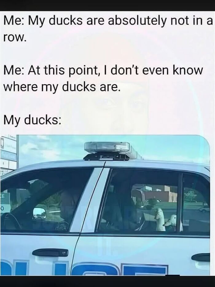 “I Can Relate To The Core”: 78 Animal Memes That Prove The Internet Was Made For This Exact Purpose “I Can Relate To The Core”: 78 Animal Memes That Prove The Internet Was Made For This Exact Purpose