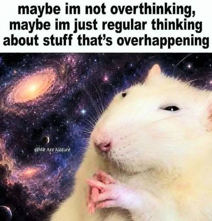 “I Can Relate To The Core”: 78 Animal Memes That Prove The Internet Was Made For This Exact Purpose “I Can Relate To The Core”: 78 Animal Memes That Prove The Internet Was Made For This Exact Purpose