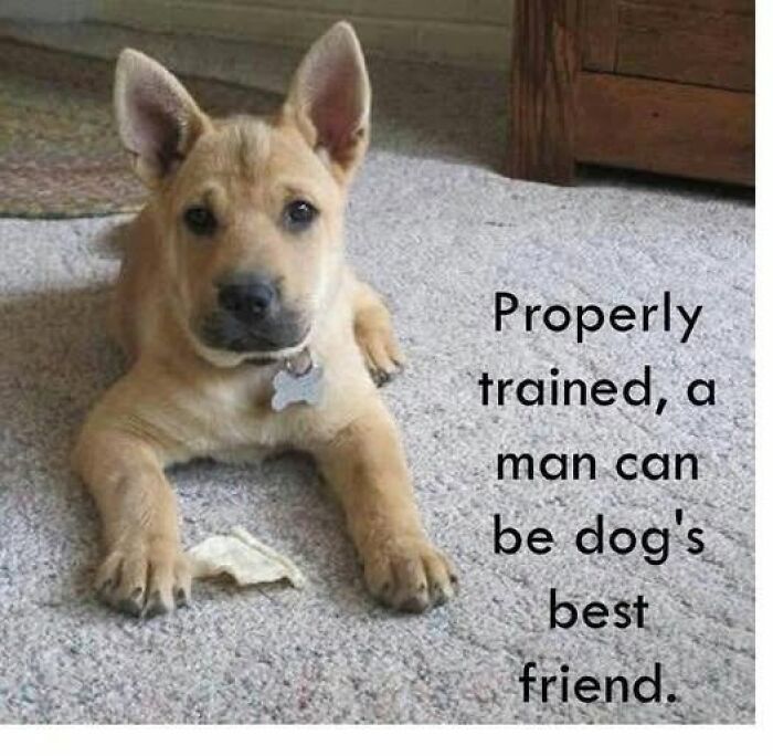 “I Can Relate To The Core”: 78 Animal Memes That Prove The Internet Was Made For This Exact Purpose “I Can Relate To The Core”: 78 Animal Memes That Prove The Internet Was Made For This Exact Purpose