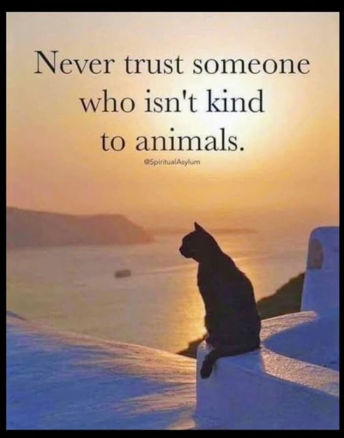 “I Can Relate To The Core”: 78 Animal Memes That Prove The Internet Was Made For This Exact Purpose “I Can Relate To The Core”: 78 Animal Memes That Prove The Internet Was Made For This Exact Purpose