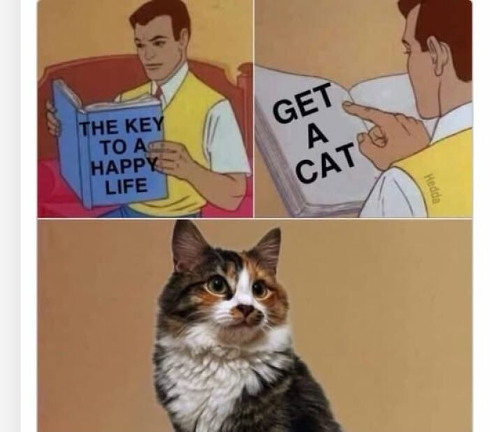 “I Can Relate To The Core”: 78 Animal Memes That Prove The Internet Was Made For This Exact Purpose “I Can Relate To The Core”: 78 Animal Memes That Prove The Internet Was Made For This Exact Purpose