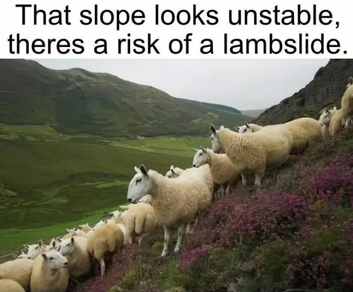“I Can Relate To The Core”: 78 Animal Memes That Prove The Internet Was Made For This Exact Purpose “I Can Relate To The Core”: 78 Animal Memes That Prove The Internet Was Made For This Exact Purpose