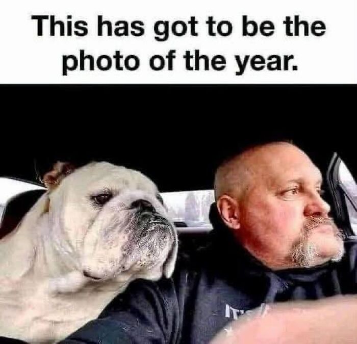“I Can Relate To The Core”: 78 Animal Memes That Prove The Internet Was Made For This Exact Purpose “I Can Relate To The Core”: 78 Animal Memes That Prove The Internet Was Made For This Exact Purpose