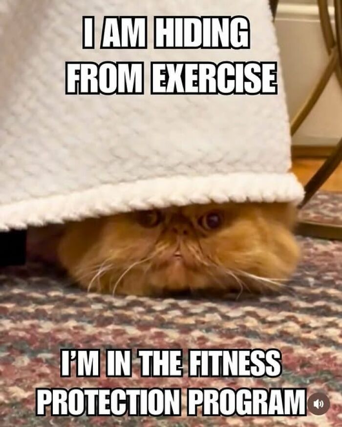 “I Can Relate To The Core”: 78 Animal Memes That Prove The Internet Was Made For This Exact Purpose “I Can Relate To The Core”: 78 Animal Memes That Prove The Internet Was Made For This Exact Purpose