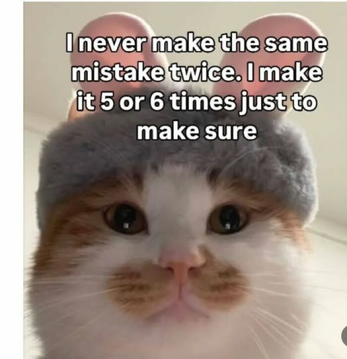 “I Can Relate To The Core”: 78 Animal Memes That Prove The Internet Was Made For This Exact Purpose “I Can Relate To The Core”: 78 Animal Memes That Prove The Internet Was Made For This Exact Purpose