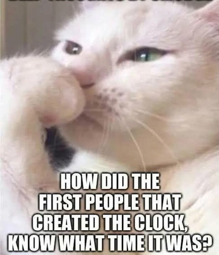 “I Can Relate To The Core”: 78 Animal Memes That Prove The Internet Was Made For This Exact Purpose “I Can Relate To The Core”: 78 Animal Memes That Prove The Internet Was Made For This Exact Purpose