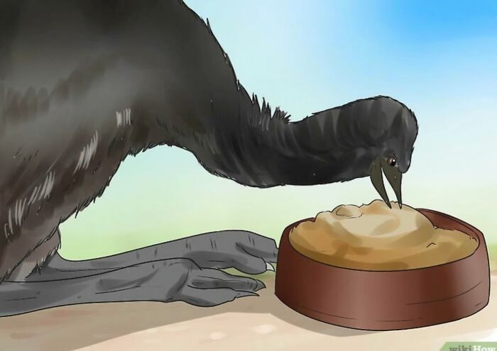 80 WikiHow Illustrations So Funny They Look Like They Were Made For A Meme Page 80 WikiHow Illustrations So Funny They Look Like They Were Made For A Meme Page