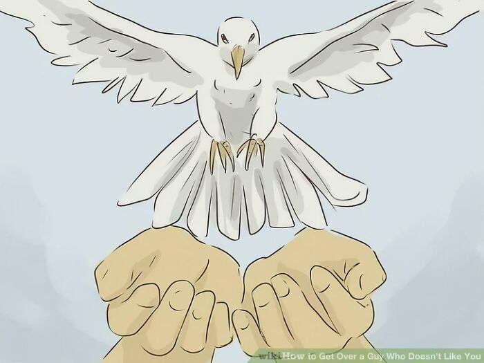 80 WikiHow Illustrations So Funny They Look Like They Were Made For A Meme Page 80 WikiHow Illustrations So Funny They Look Like They Were Made For A Meme Page