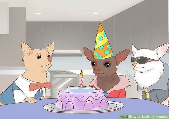 80 WikiHow Illustrations So Funny They Look Like They Were Made For A Meme Page 80 WikiHow Illustrations So Funny They Look Like They Were Made For A Meme Page