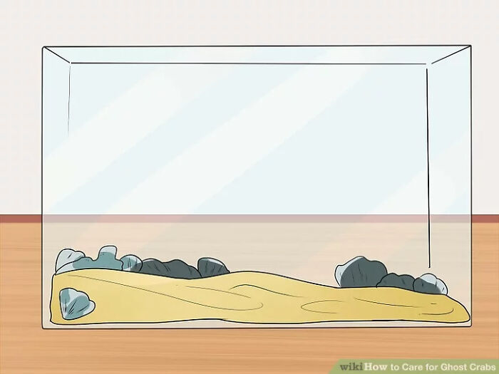 80 WikiHow Illustrations So Funny They Look Like They Were Made For A Meme Page 80 WikiHow Illustrations So Funny They Look Like They Were Made For A Meme Page
