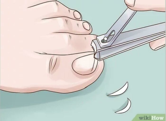 80 WikiHow Illustrations So Funny They Look Like They Were Made For A Meme Page 80 WikiHow Illustrations So Funny They Look Like They Were Made For A Meme Page