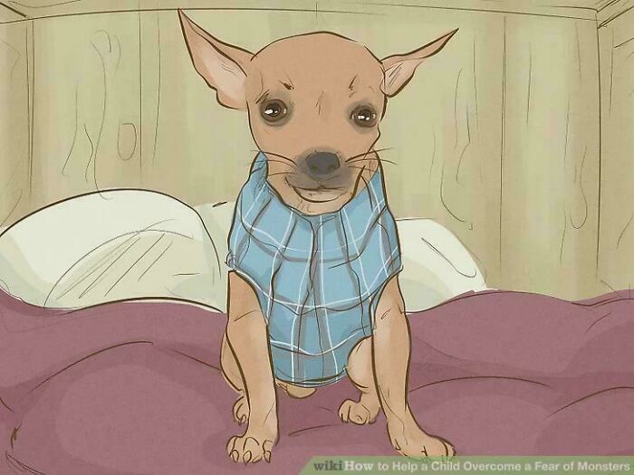 80 WikiHow Illustrations So Funny They Look Like They Were Made For A Meme Page 80 WikiHow Illustrations So Funny They Look Like They Were Made For A Meme Page
