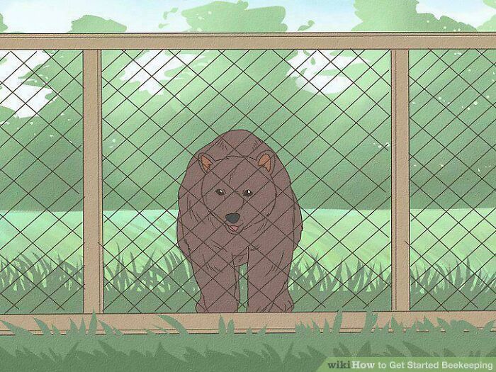 80 WikiHow Illustrations So Funny They Look Like They Were Made For A Meme Page 80 WikiHow Illustrations So Funny They Look Like They Were Made For A Meme Page