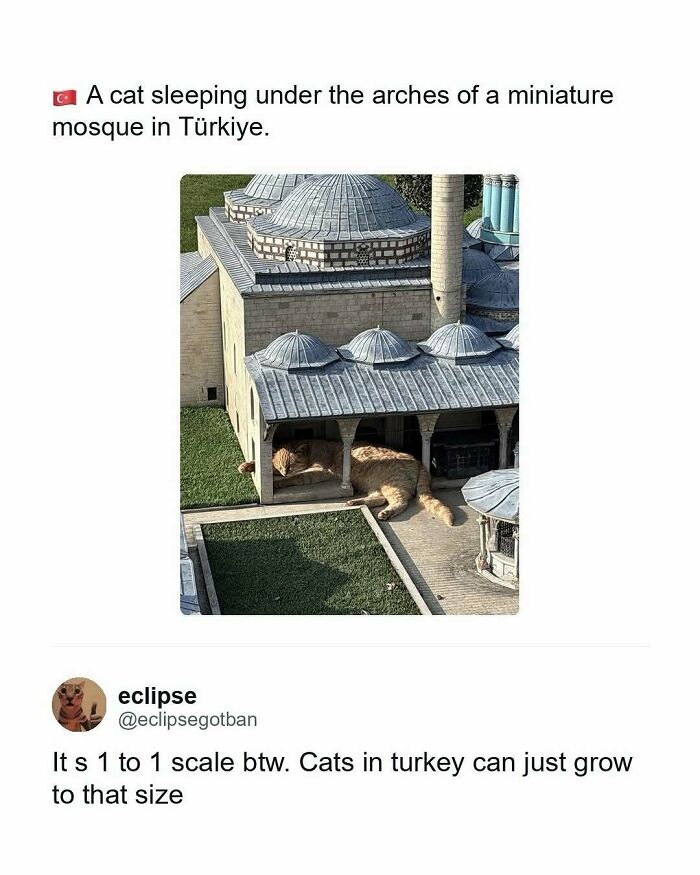 30 Hilarious Memes That Might Be Harsh But They’re True 30 Hilarious Memes That Might Be Harsh But They’re True