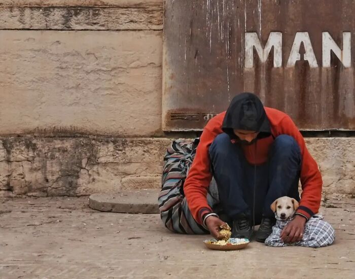 These 43 Photos By Pranay Pariyar Capture The Strange Reality Of Animals Living On The Streets These 43 Photos By Pranay Pariyar Capture The Strange Reality Of Animals Living On The Streets
