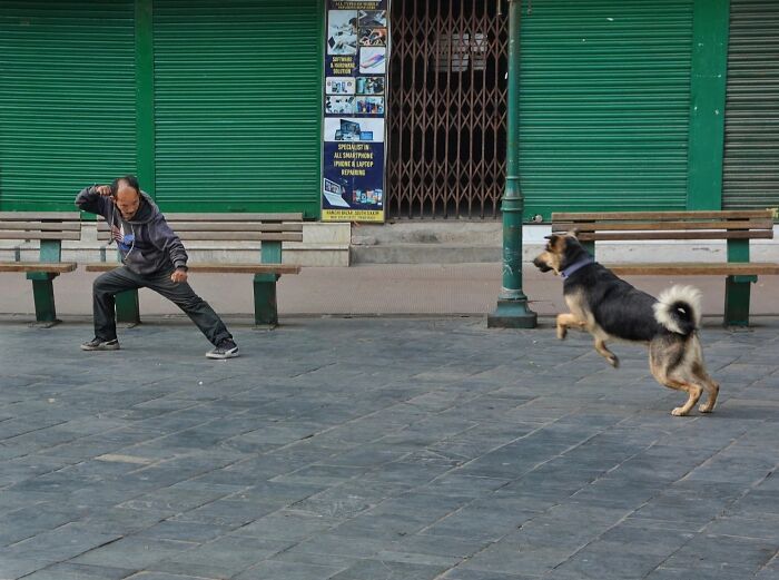 These 43 Photos By Pranay Pariyar Capture The Strange Reality Of Animals Living On The Streets These 43 Photos By Pranay Pariyar Capture The Strange Reality Of Animals Living On The Streets