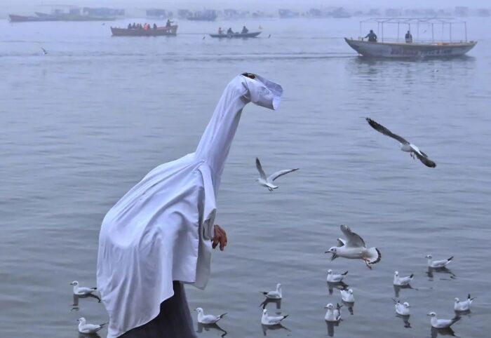 These 43 Photos By Pranay Pariyar Capture The Strange Reality Of Animals Living On The Streets These 43 Photos By Pranay Pariyar Capture The Strange Reality Of Animals Living On The Streets
