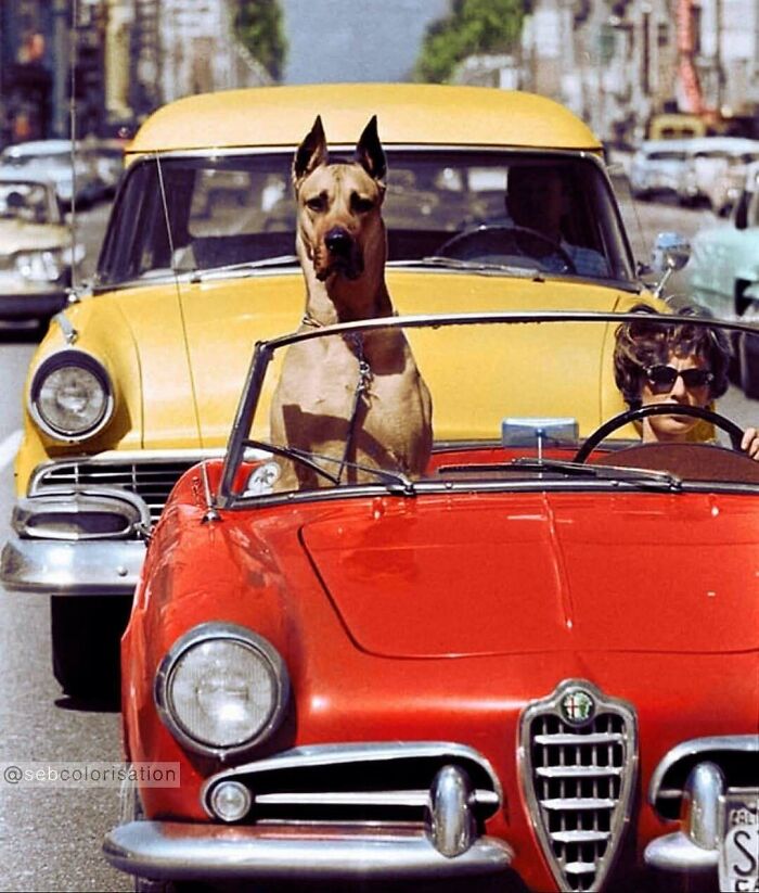 80 Stunning Historical Colorized Photos That Make The Past Days Come To Life 80 Stunning Historical Colorized Photos That Make The Past Days Come To Life