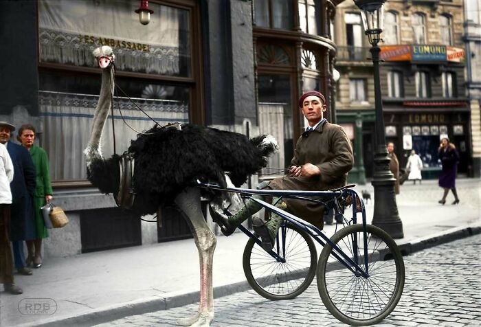 80 Stunning Historical Colorized Photos That Make The Past Days Come To Life 80 Stunning Historical Colorized Photos That Make The Past Days Come To Life