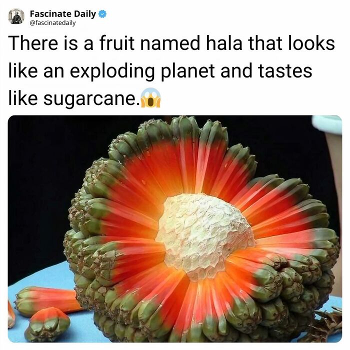 68 Cool, Creepy And Fascinating Facts That Might Surprise You 68 Cool, Creepy And Fascinating Facts That Might Surprise You
