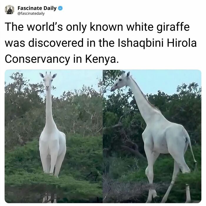 68 Cool, Creepy And Fascinating Facts That Might Surprise You 68 Cool, Creepy And Fascinating Facts That Might Surprise You