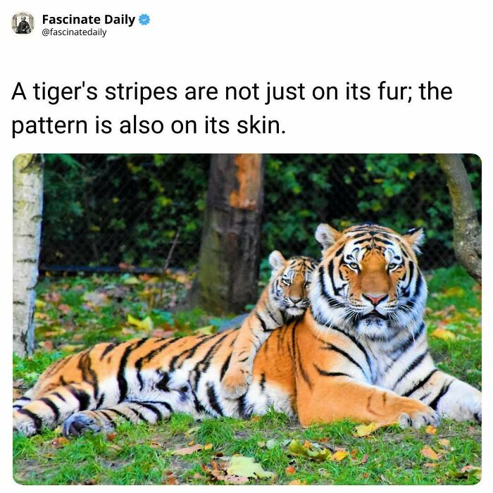 68 Cool, Creepy And Fascinating Facts That Might Surprise You 68 Cool, Creepy And Fascinating Facts That Might Surprise You