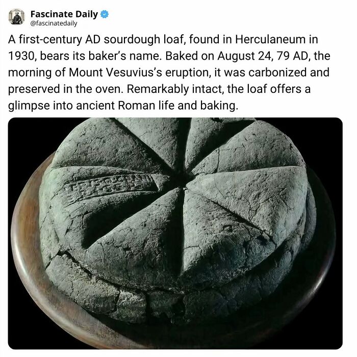 68 Cool, Creepy And Fascinating Facts That Might Surprise You 68 Cool, Creepy And Fascinating Facts That Might Surprise You