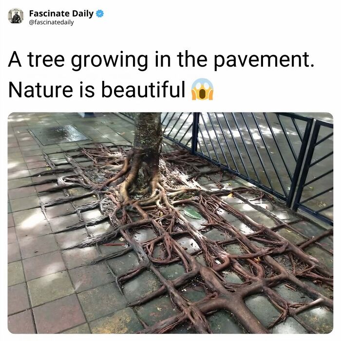68 Cool, Creepy And Fascinating Facts That Might Surprise You 68 Cool, Creepy And Fascinating Facts That Might Surprise You