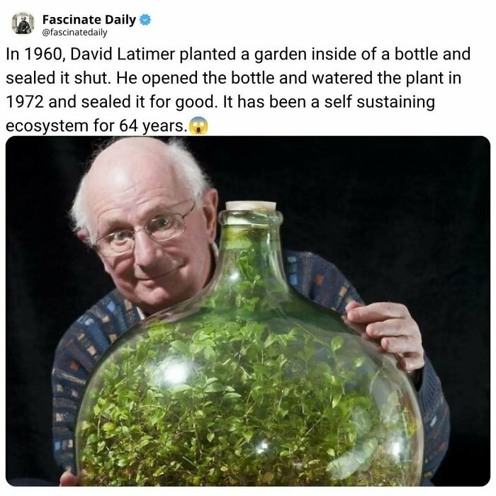 68 Cool, Creepy And Fascinating Facts That Might Surprise You 68 Cool, Creepy And Fascinating Facts That Might Surprise You
