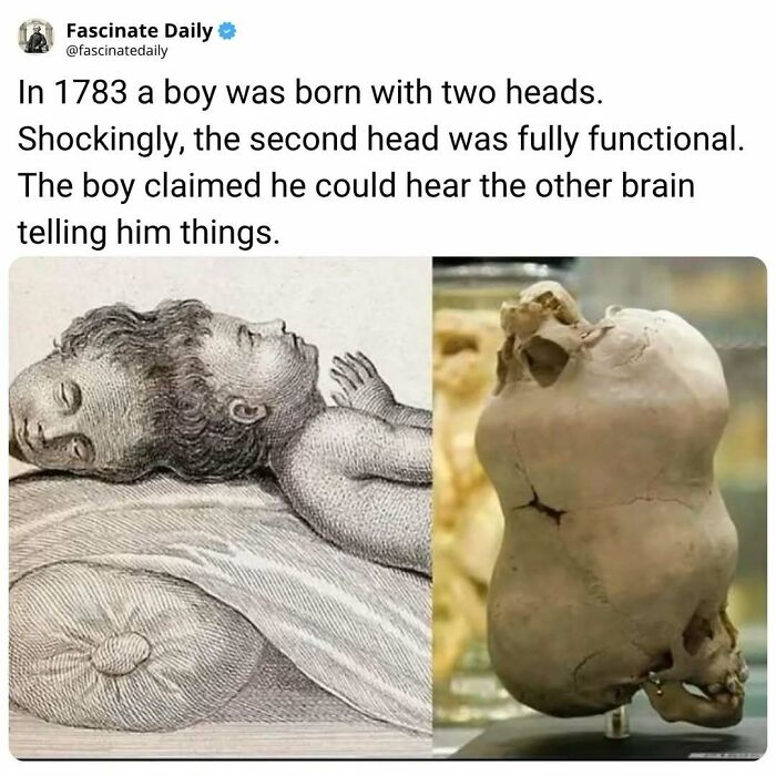 68 Cool, Creepy And Fascinating Facts That Might Surprise You 68 Cool, Creepy And Fascinating Facts That Might Surprise You