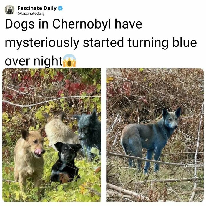 68 Cool, Creepy And Fascinating Facts That Might Surprise You 68 Cool, Creepy And Fascinating Facts That Might Surprise You