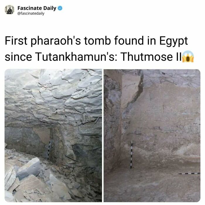 68 Cool, Creepy And Fascinating Facts That Might Surprise You 68 Cool, Creepy And Fascinating Facts That Might Surprise You