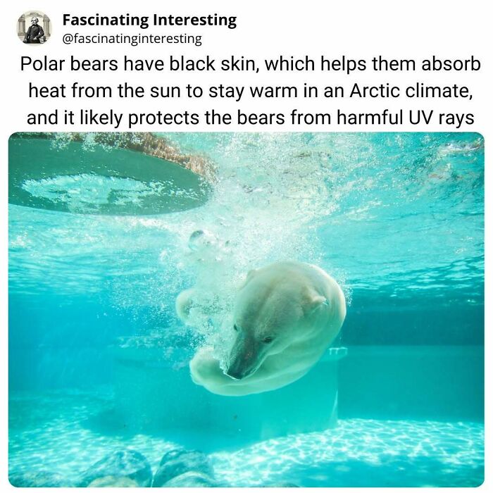 68 Cool, Creepy And Fascinating Facts That Might Surprise You 68 Cool, Creepy And Fascinating Facts That Might Surprise You