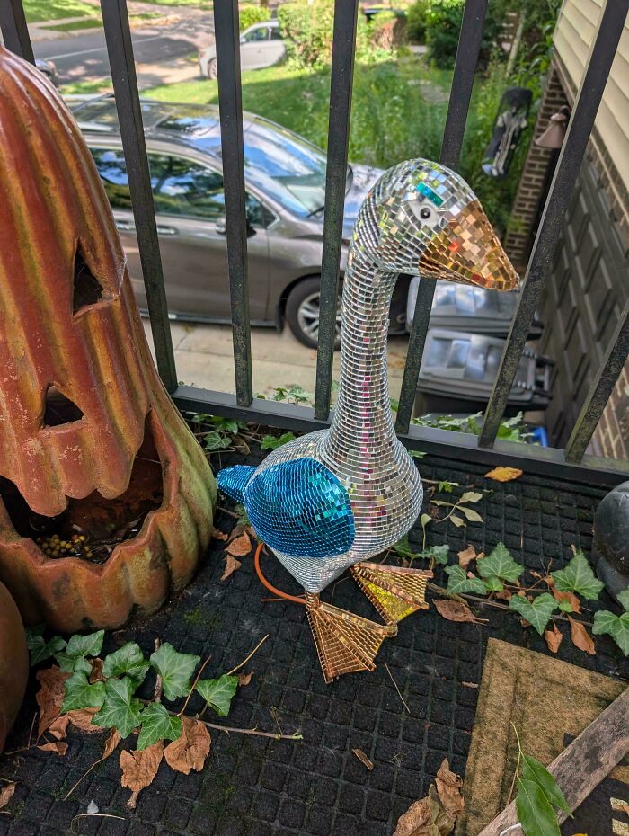 From A Disco Goose To A Frog Bag, These 66 Quirky Projects Are Just What The Doctor Ordered From A Disco Goose To A Frog Bag, These 66 Quirky Projects Are Just What The Doctor Ordered