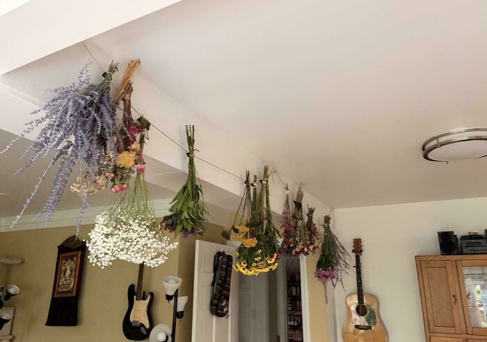 From A Disco Goose To A Frog Bag, These 66 Quirky Projects Are Just What The Doctor Ordered From A Disco Goose To A Frog Bag, These 66 Quirky Projects Are Just What The Doctor Ordered