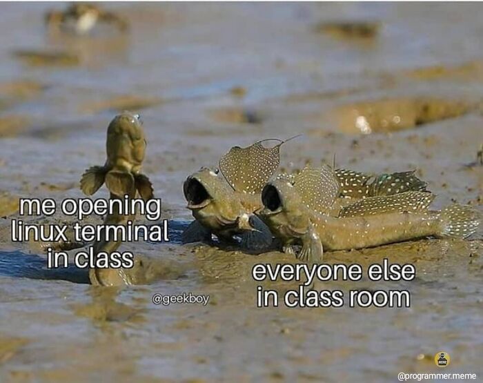 78 Relatable Memes That Hit A Little Too Close To Home For Programmers 78 Relatable Memes That Hit A Little Too Close To Home For Programmers